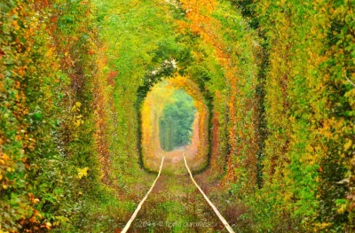r.....7 - Najpiękniejszy tunel kolejowy świata. (Gdzieś w Rumunii)
Autor zdjęcia: Av...