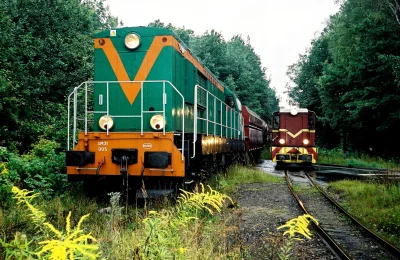 wanghoi - Mama lokomotywa ze swoim dzieckiem na spacerze w lesie (｡◕‿‿◕｡)

#pociagi...