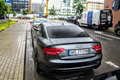 superduck - Audi RS5 B8 (2010-2012)
4,2l V8 twinturbo 450KM
0-100 km/h 4,5s

Całkiem ...