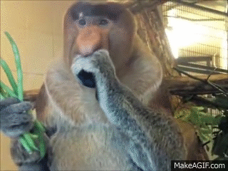 Gibbsohn - endzi oglądająca streama z tyłu 
#mahonek