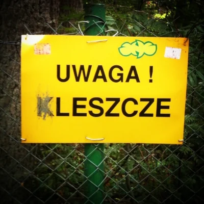 normanos - UWAGA LESZCZE



#kleszcze #las #heheszki przy przejściu na plażę w #wicie