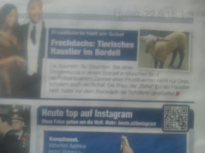 Robrt7991 - Owca w niemieckim burdelu Xd 
#czystyubaw #zoofilia #niemcy