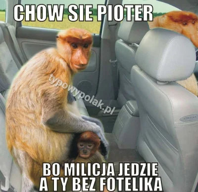 Fajnisek4522 - #polak #heheszki #humorobrazkowy #policja #samochody