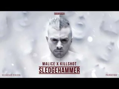 asapa - Malice x Killshot - Sledgehammer

└[⚆ᴥ⚆]┘

#hardmirko #hardstyle