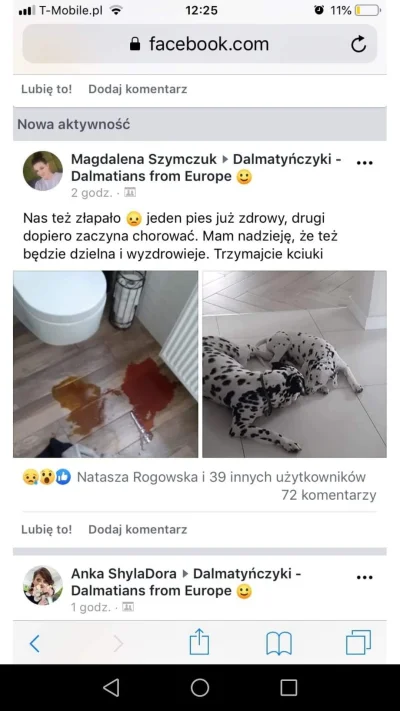 mirkobeniz - @Rea_Achillea: z FB. W następnym wpisie oddzielę informacje z głównych ź...