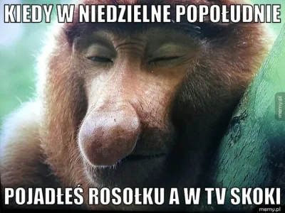 tomkkoo - #skoki #skokinarciarskie #heheszki