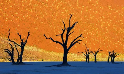 Zdejm_Kapelusz - Ponoć, to nie jest grafika ani obraz, tylko zdjęcie.
Namibia w Afry...