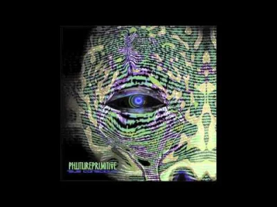 slash - Phutureprimitive - Elysium
#muzykaelektroniczna #psybient #psychill #dub #...