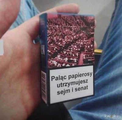 luxkms78 - #papierosy #polityka #sejm #senat #palenie #paleniefajek