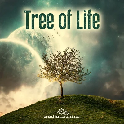 strictvision - Tree of Life audiomachine - oficjalna tracklista. 



01 - Above and B...