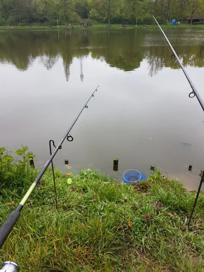 legolas115 - Jak co roku zawody wedkarskie. Rok temu jeden karp i wygrana wędka:3 (je...