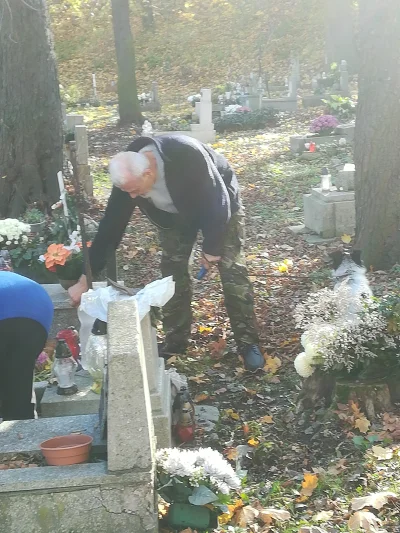 kratochwil - Przyjść na cmentarz z pieskiem, w tych dniach. Piesek sika na grób obok,...