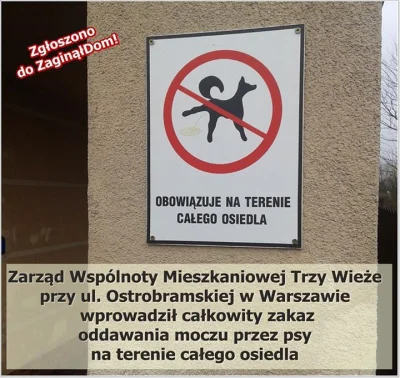 Priya - Zakaz sikania psów

#warszawa #absurd #mojkrajtakipiekny