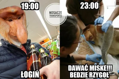 capybara_ - NO TO ŁOGIŃ ( ͡° ͜ʖ ͡°)

#polak #nosaczsundajski #nosacz #heheszki #hum...