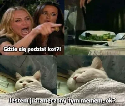 Hamelin - #heheszki #memy #smiesznekotki #humorobrazkowy