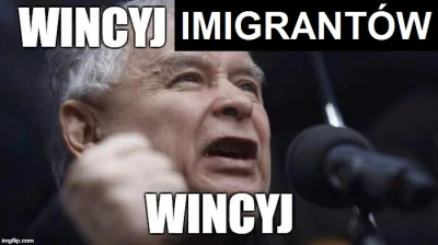 StaryWilk - >Polska rajem dla imigrantów
Najśmieszniejsze jest to, że PiS wygrał ost...