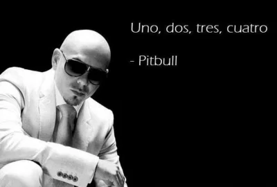 Versus123 - #pitbull #heheszki #nocnazmiana ##!$%@?