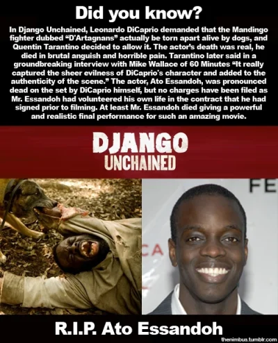 T.....e - #ciekawostki #django #film