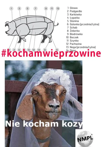 F.....s - #kochamwieprzowine