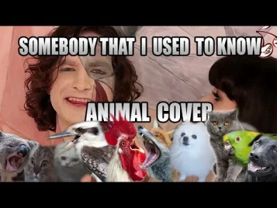 qqwwee - ( ͡° ͜ʖ ͡°)

#muzyka #smiesznypiesek #smiesznykotek #koty #cover #gotye