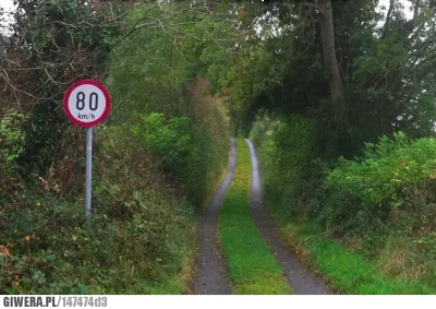 pont00n - ograniczenia prędkości w Irlandii to są gdzieniegdzie bardziej wyzwania niż...