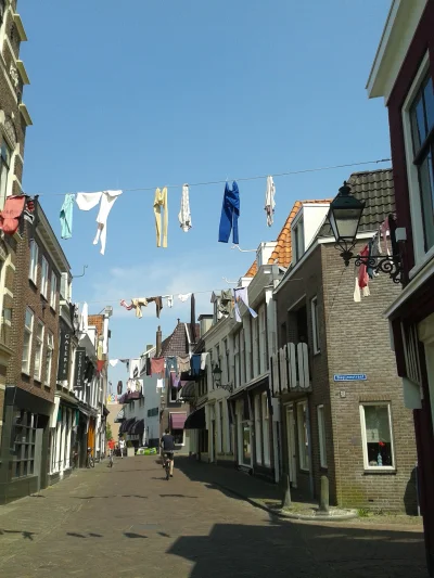 lovn - "Udekorowali" całą uliczkę praniem. Wygląda prze-uroczo (｡◕‿‿◕｡)

#holandia #l...