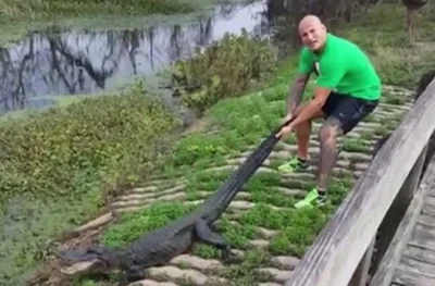 JanParowka - Prawdziwy facet nie boi się krokodyla a nawet zrobi mu dziecko, ju goin ...