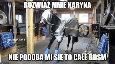 Fennrir - #humorobrazkowy #heheszki #konie #koniary