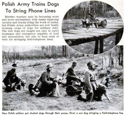 yolantarutowicz - Artykuł z września 1939 w "Popular science".

Więcej: Psy w przed...