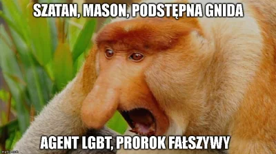 JanuszKarierowicz - polskie prawactwo i katolstwo teraz xD