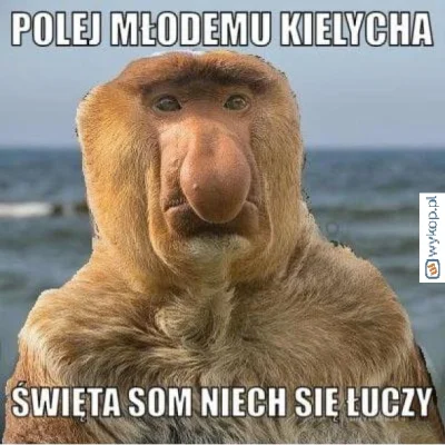 DeusVultV - #nosaczsundajski #polak #nosacz #swieta #janusze #heheszki #humorobrazkow...
