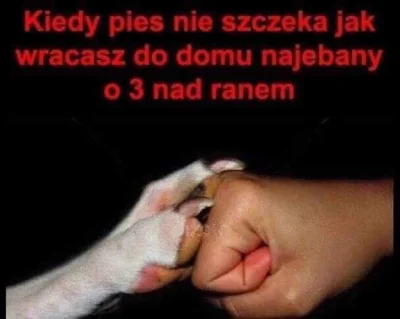 N.....e - #tendziwnykontent
#przyjaciele
#smiesznypiesek
#heheszki