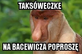 mateuszak - Znany polski skrzypek Grażyn Bacewicz



#polska #nosacz #nosaczsundajski...