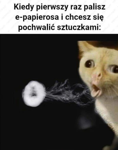 lokuero - Poszukuje memów z tym kotem, macie coś ciekawego? #kot #humorobrazkowy