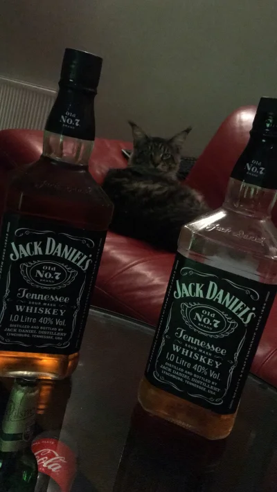 PaniKizia - A u Was jak tam?
#after #kitku #jackdaniels