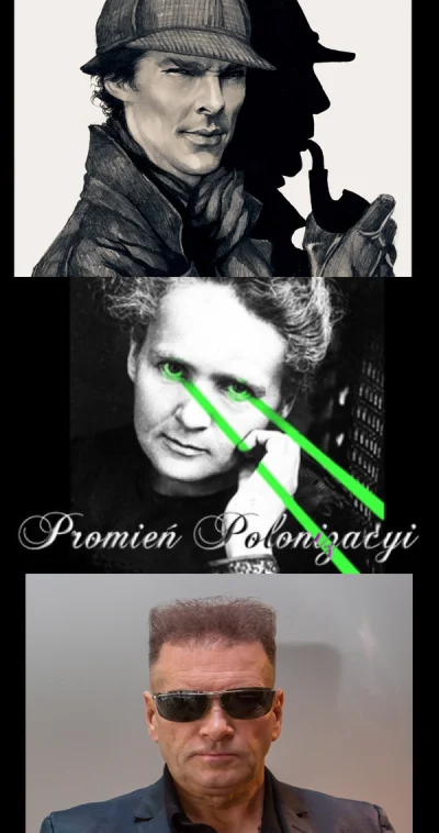 eustachy-krzaczastobrewy - #heheszki #humorobrazkowy #meme #sherlock #fryzura