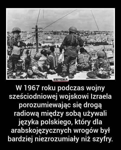 l.....l - #ciekawostki #wojna #polska #Izrael