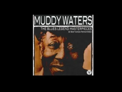 ZrestartowanyPigmej - #muzyka #blues 

Muddy Waters - She Moves Me