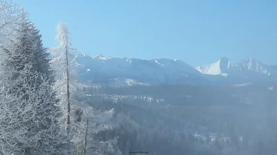 rikoon - Tatry zimą
#tatry #zima #slowacja