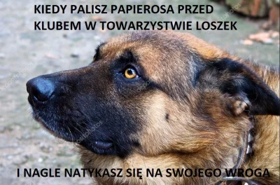 RouZi - #przegryw ##!$%@? #kluby #stuejacontent #gownowpis