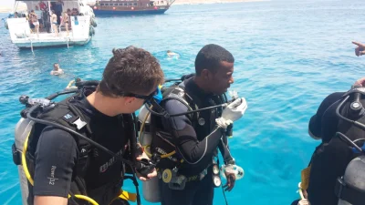 fabek - @choleryk:  Byłem w zeszłym tygodniu w Egipcie na nurkowaniu na wyspie Tiran....