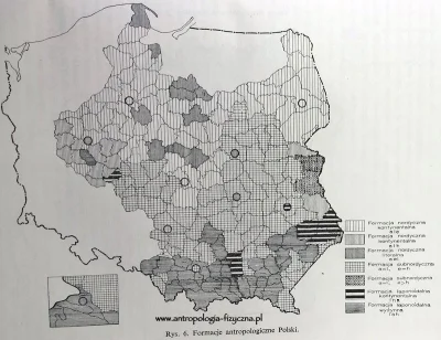 Vojciech016 - #mapy #polska #rasy #antropologia
A wy do jakiej formacji należycie? 
J...