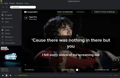 fixie - Od kiedy na #spotify jest karaoke?