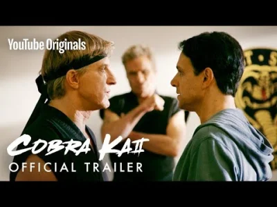 P.....k - Nie mogę się doczekać :D
#cobrakai #karatekid #seriale #youtube