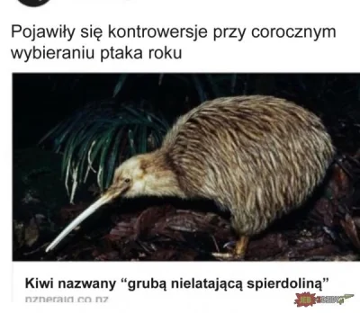 D.....u - Biedne kiwi ( ͡° ʖ̯ ͡°)
#heheszki #humorobrazkowy