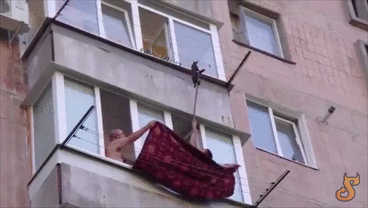 S.....t - gurwa nawet kota sobie do wyschnięcia nie można powiesić bo zaraz p--------...