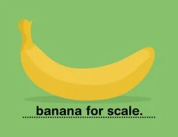 marianoitaliano - @darkwalker: jak dla mnie to zabrakło banana dla skali