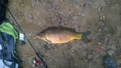 maziczek - Mirki w końcu dopadłem dziada 5 kg 

Będą plusowac będzie pokaz mordę fish...