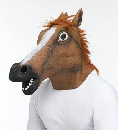 Zatoichi - Metapercepcyjny hełm pozwalający poczuć "jak to jest być koniem"