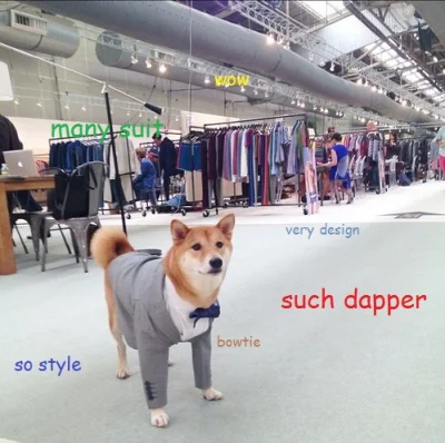 b.....a - #doge #tylkodoge